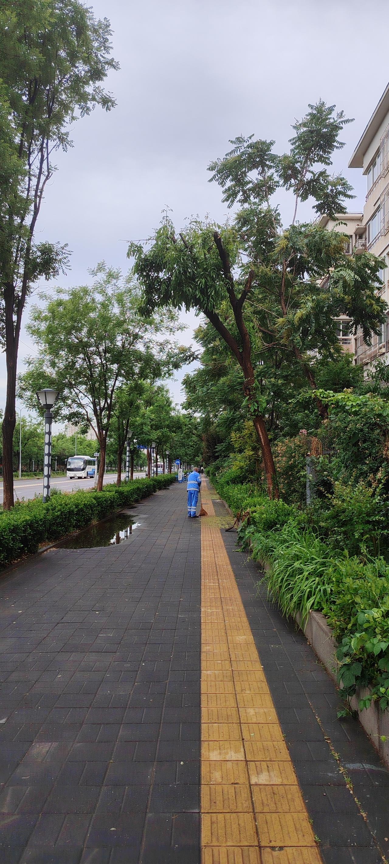 记录我的2026真正的勇者，从不畏惧风暴的洗礼，反而渴望在雷鸣电闪中起舞。每一个