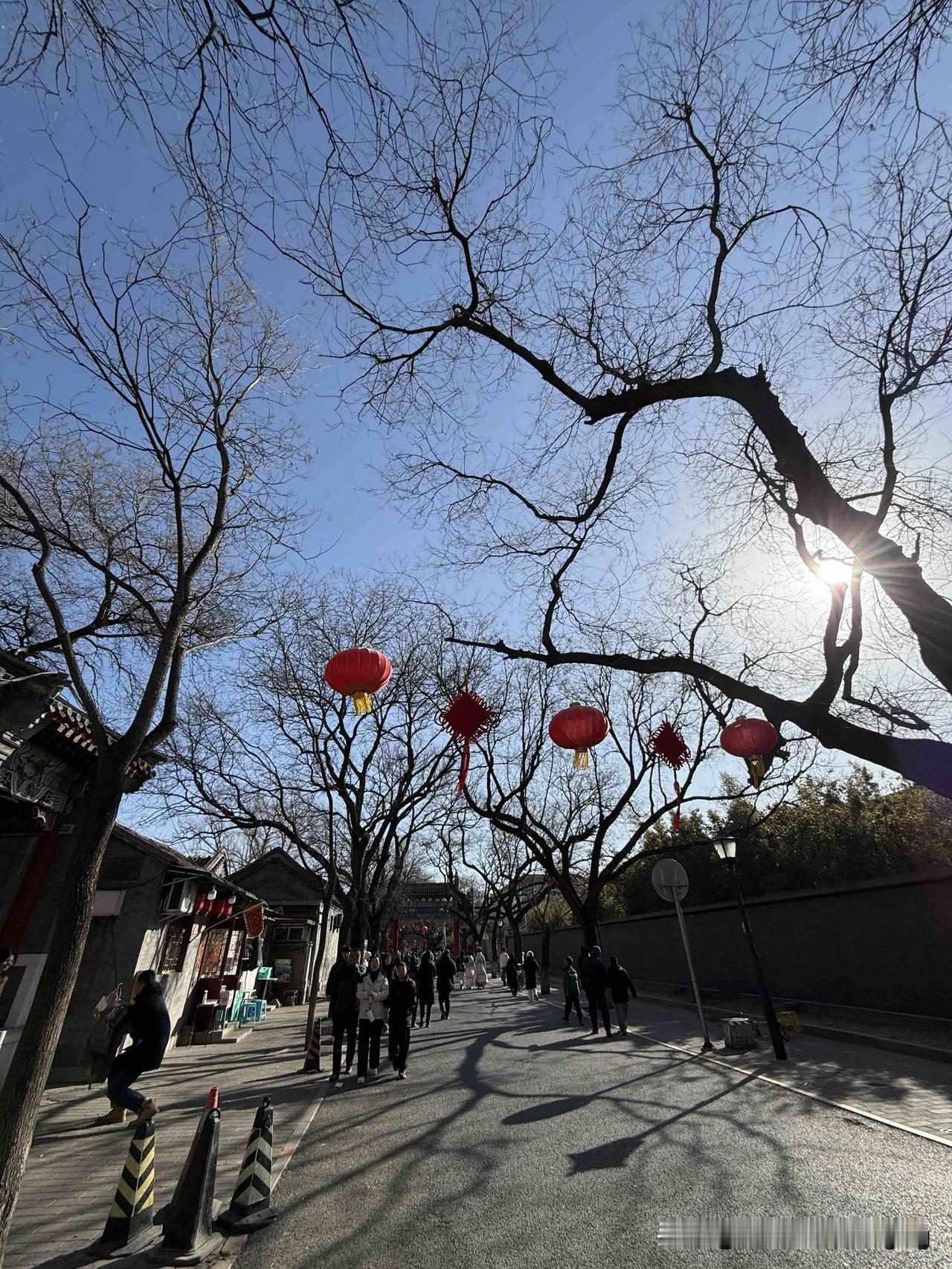 去北京过大年：我眼中的美景，尽收眼底北京旅游 北京年味拍照 北京旅行 来过北京旅