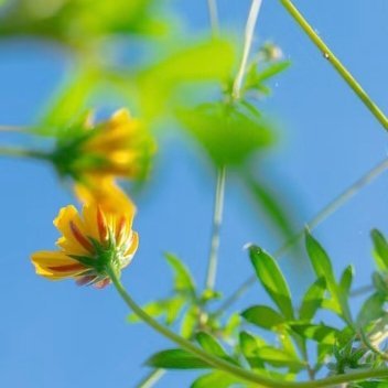 每日一善   每日一善   阳光信用 阳光，是前行的火，点亮我们前行的灯；阳光，