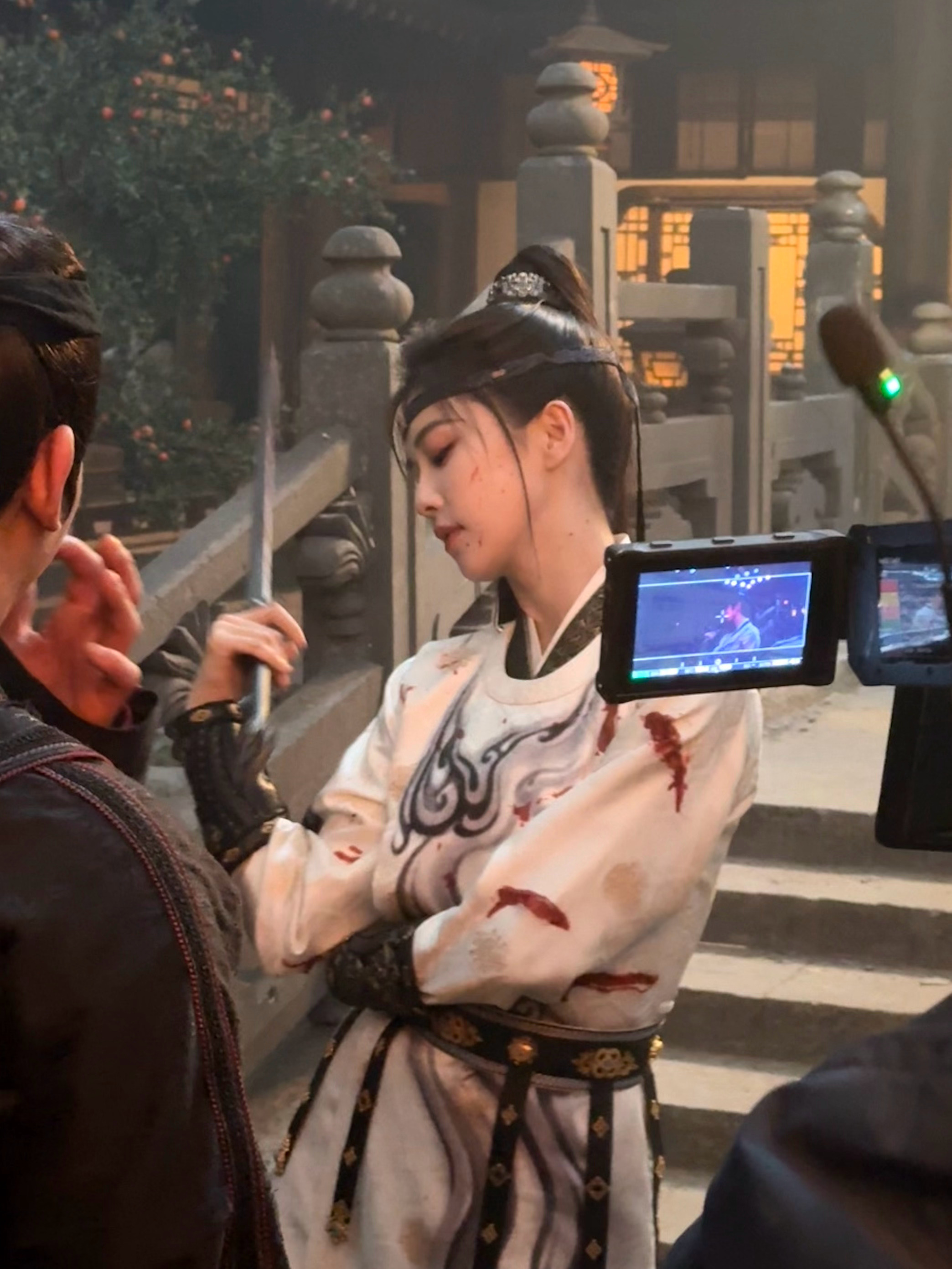 白鹿   在复制粘贴的时代，你是手写的诗