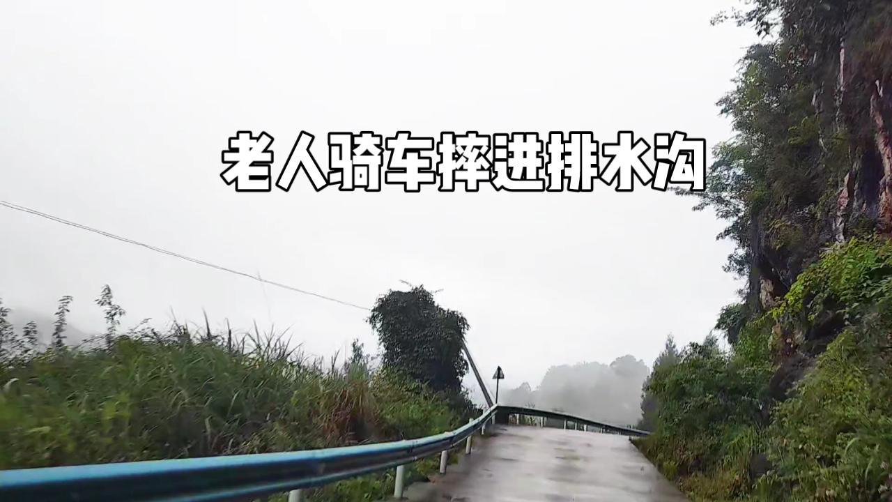 一句承诺守十几年，老人无偿照看已故老友整片山林人间真情 信守承诺 平凡人的感动