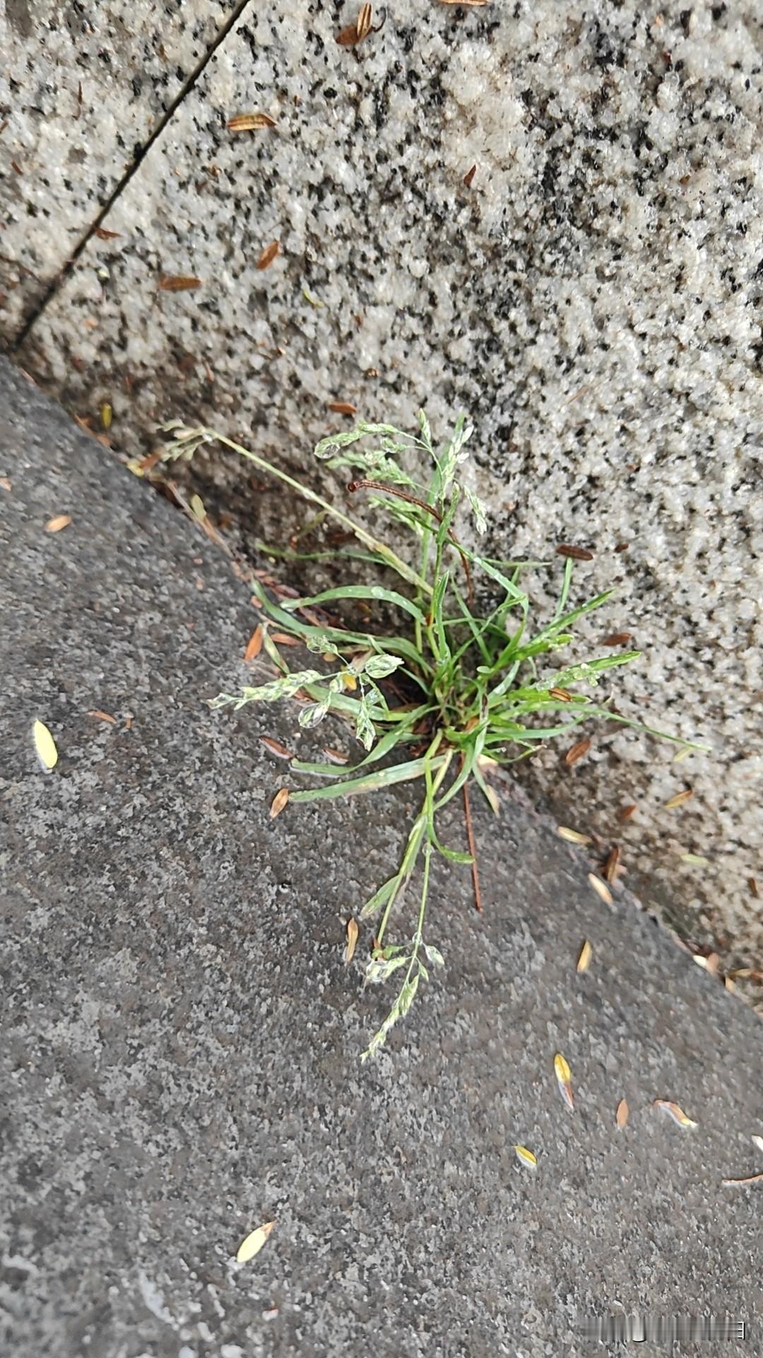 阿甘说：生活就像一盒巧克力，你永远不知道下一块是什么味道。
我说：假如你觉得生活