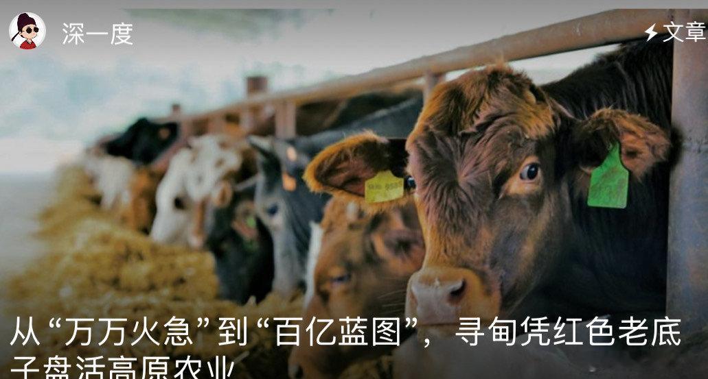 网络大V带你看寻甸寻甸的乡村振兴，是一场关于科技与经济的华丽转身。看到无人机划过
