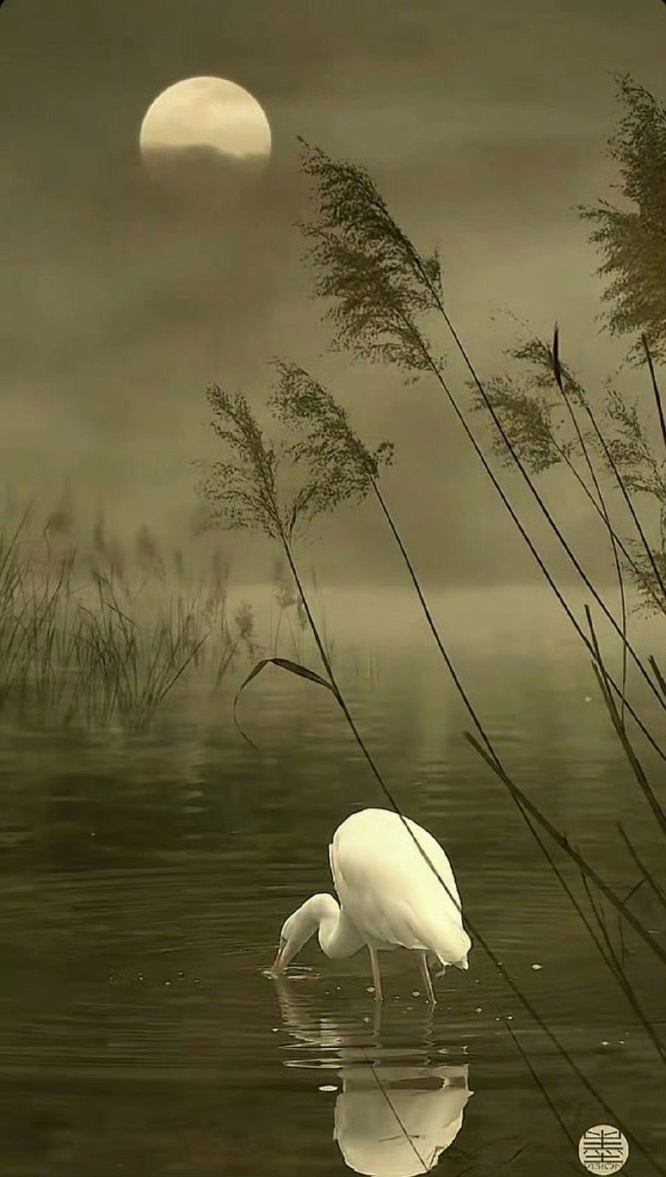 能慢慢找到自己在这个世界的位置确实是一件很幸福的事。——《半山文集》