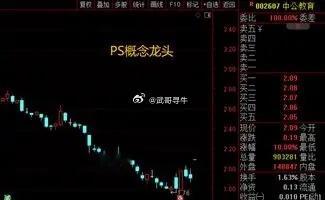 中公教育涨停原因今天市场不大好，感觉是很多人都在吃瓜了。中公教育，因为沾上了有色