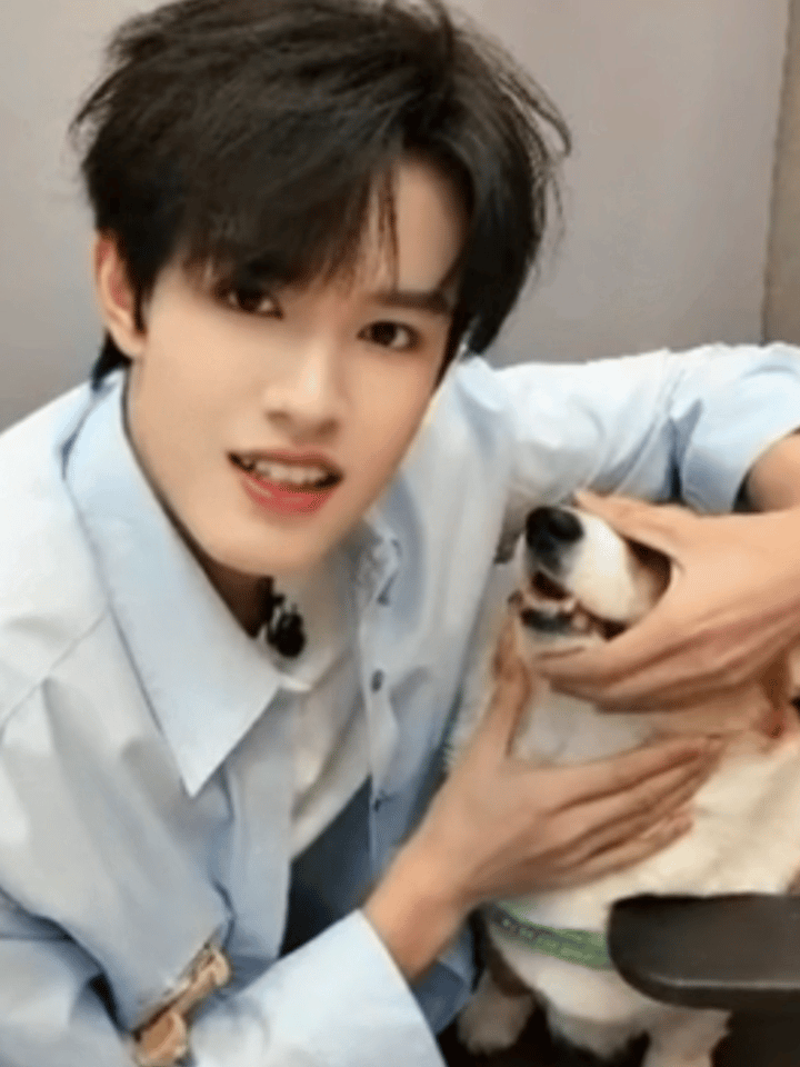 我都被啵啵萌哭。。张极你继续玩弄啵啵！！张极带啵啵直播