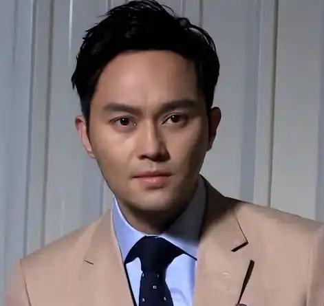 张智霖，1971年8月27日出生于中国香港，祖籍广东佛山南海区，香港男演员、歌手
