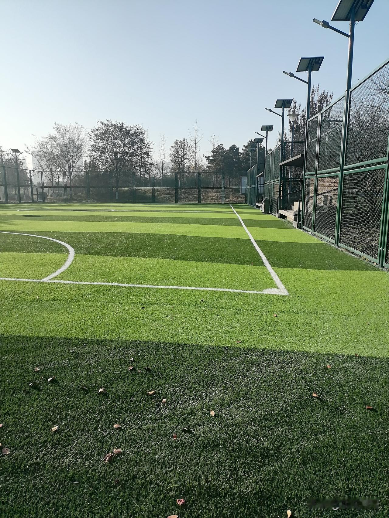 冬日生活打卡季冬日的绿茵场，依然是那么生机盎然，随时来一场足球训练，自然会有一种