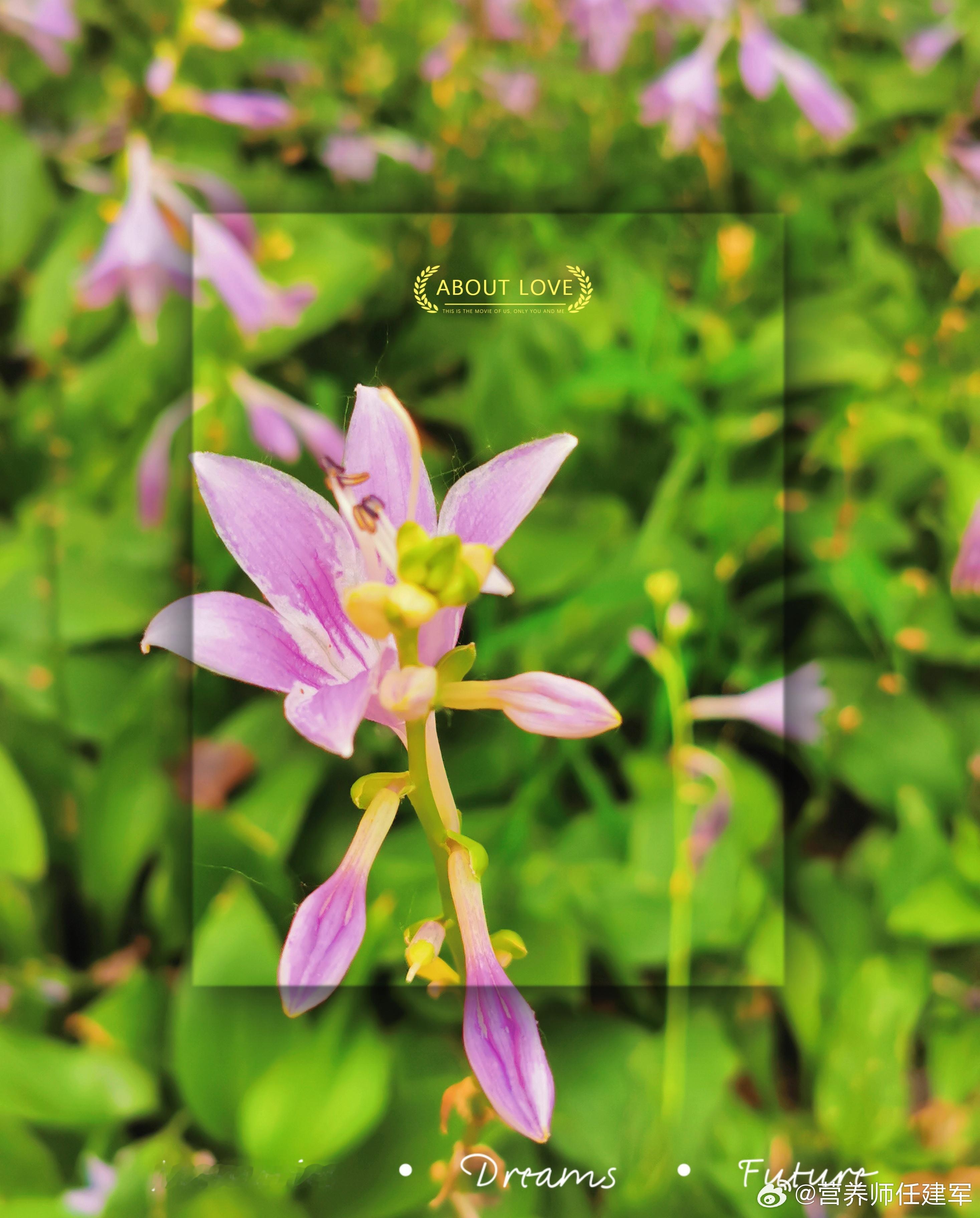 #早安# 每门技术都是一把钥匙，钥匙越多，选择就越多。早上好[鲜花][鲜花] ​