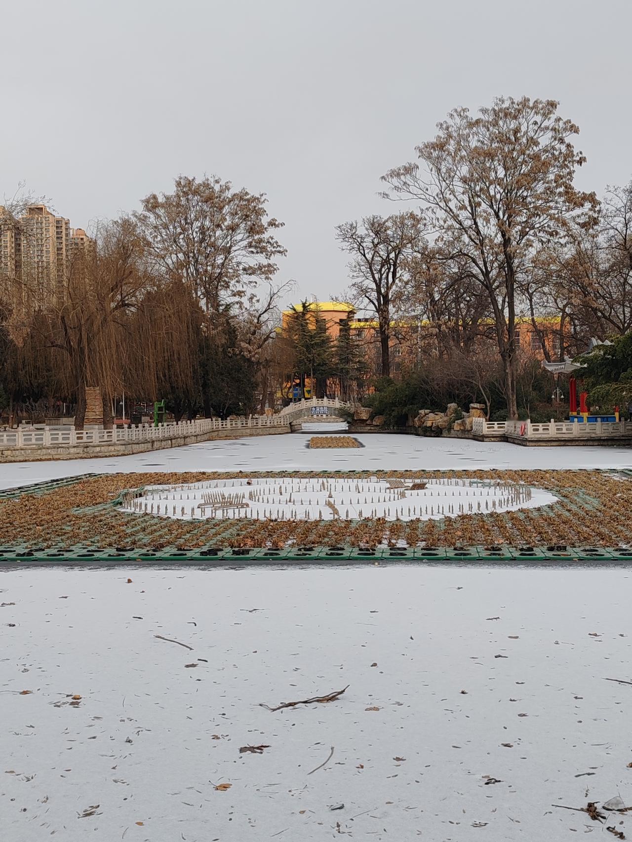 随手拍张照《雪后冰湖》小雪散冰湖，草木天遮住。淡淡一抹白，诗画惹情愫。