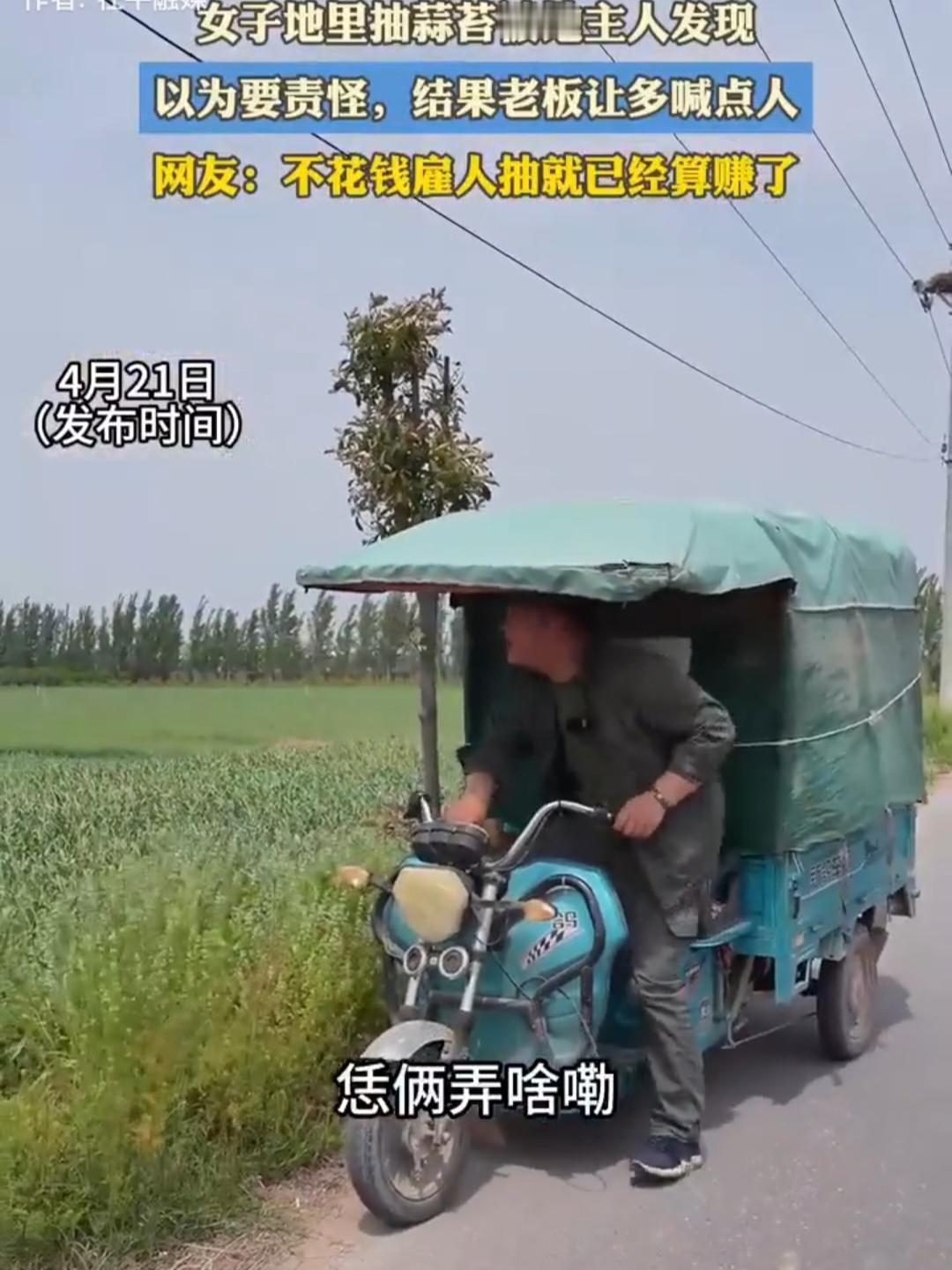 赚大了！两女子在地里抽蒜薹，一个大哥骑着三轮车，停在距离她们最近的地边，两人看到