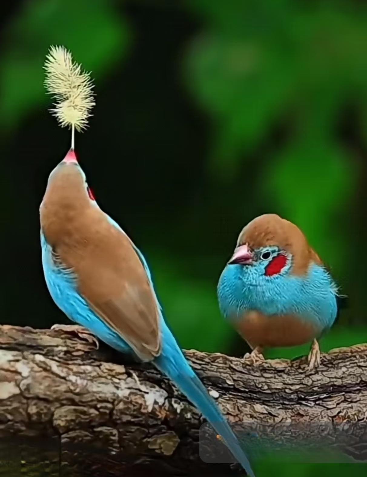 岳云鹏连续霸屏春晚，观众真的不腻吗？
我得说，岳云鹏这棵春晚老树，是时候该挪挪窝