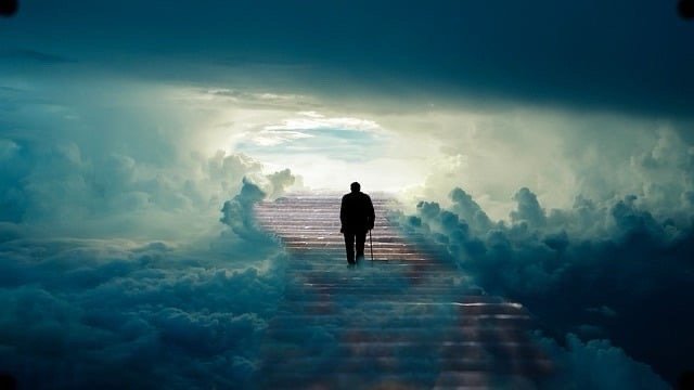 真正的审美情趣，是建立在一定沧桑人生的悲剧情结之上的，越对人生的悲剧性有深刻的认