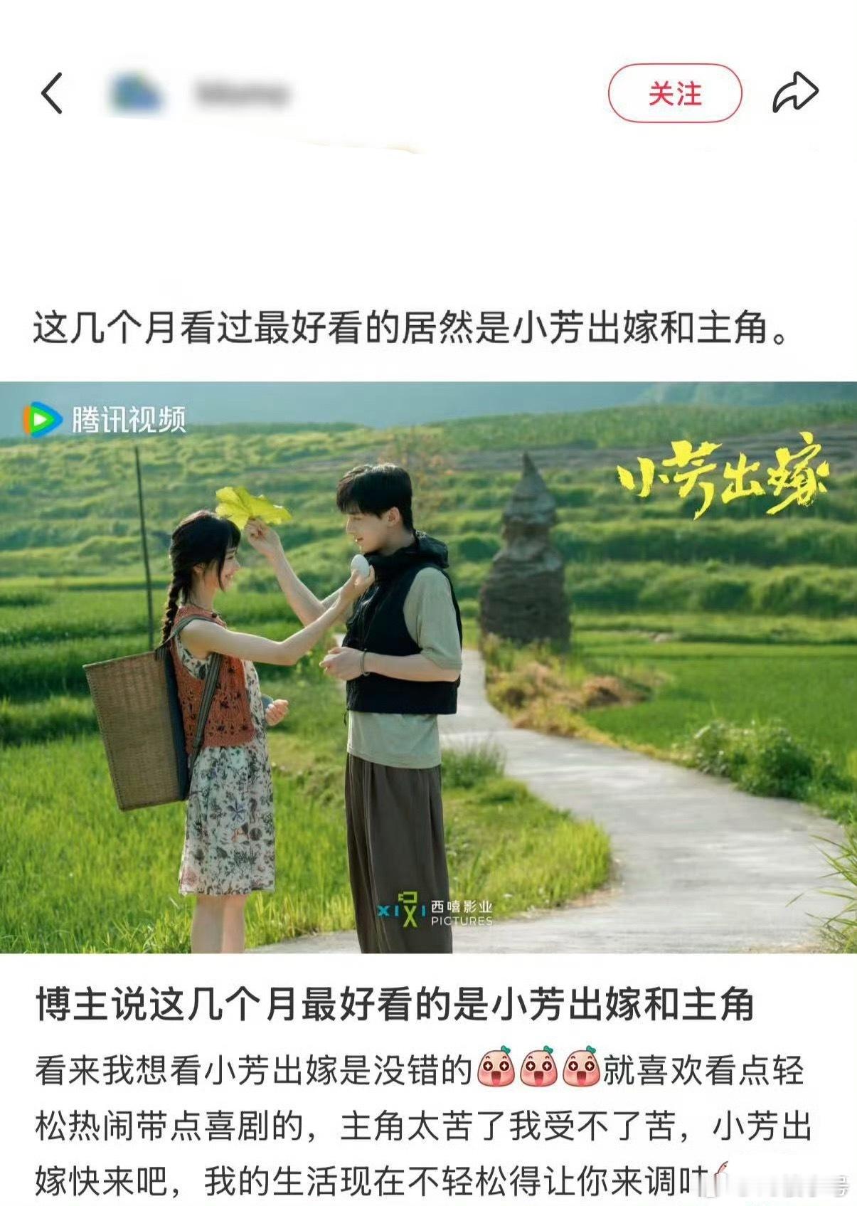 小芳定档 我为什么猜小芳出嫁是黑马，就因为我记得我前段时间看到的这个截图 