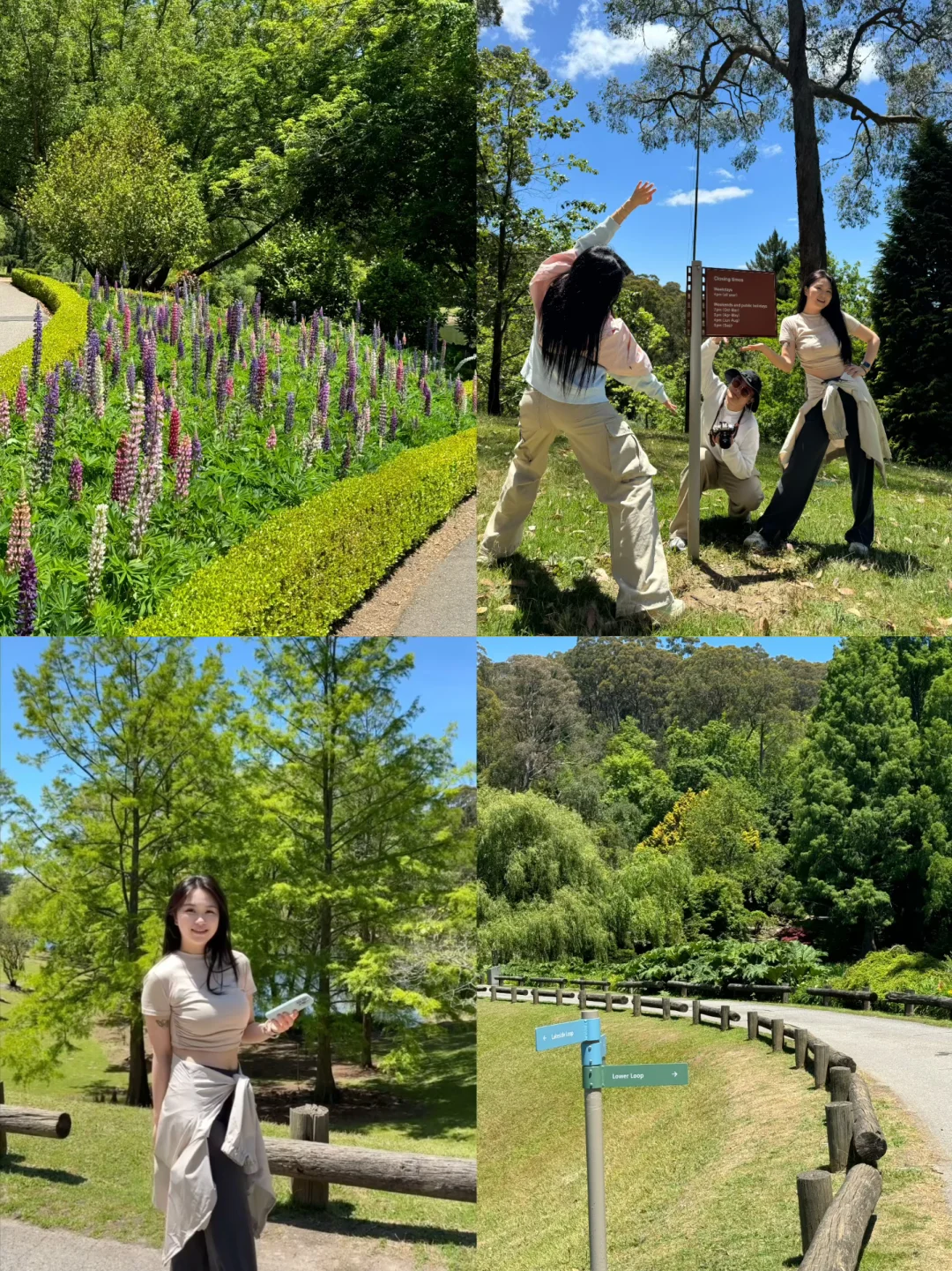 阿德小瑞士🇦🇺｜太喜欢Botanic Garden啦！