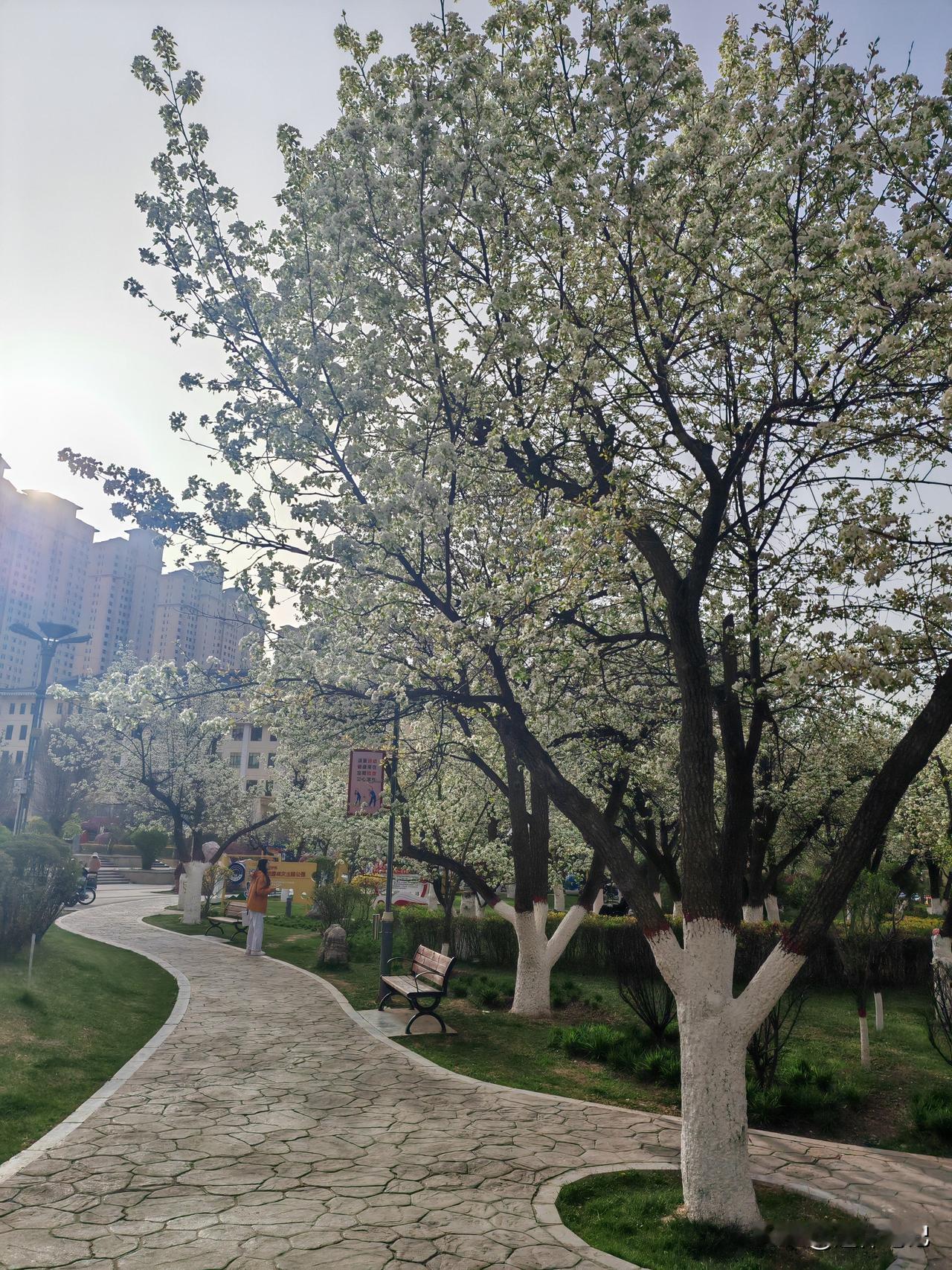 晒图笔记大赛晒图笔记大赛其实这样的一个活动是非常棒的，为什么呢？因为通过手机当中