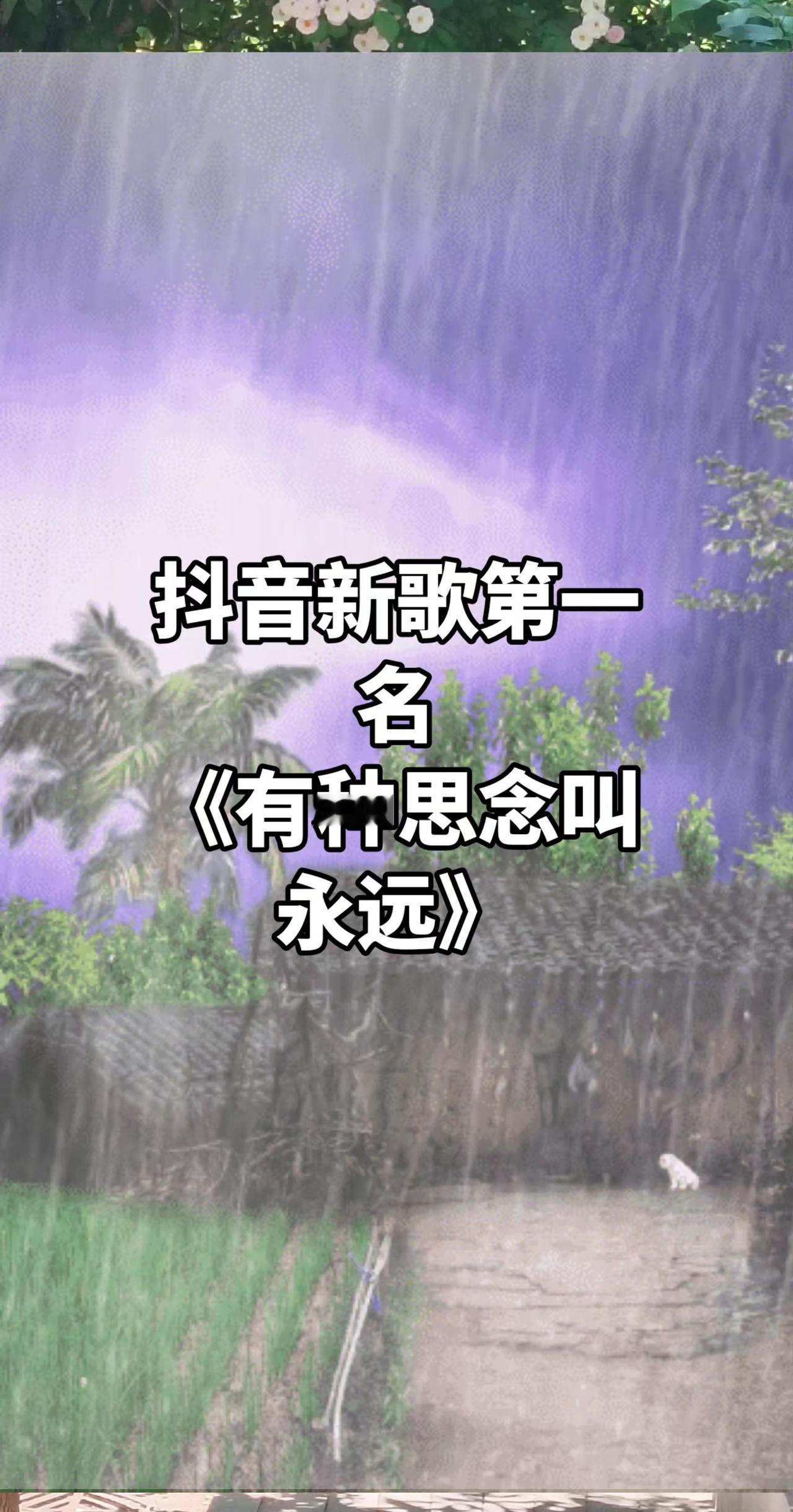 每日一曲