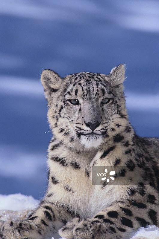1月23日19时许，新疆富蕴县可可托海镇塔拉特村区域，一名滑雪游客返回宾馆途中，