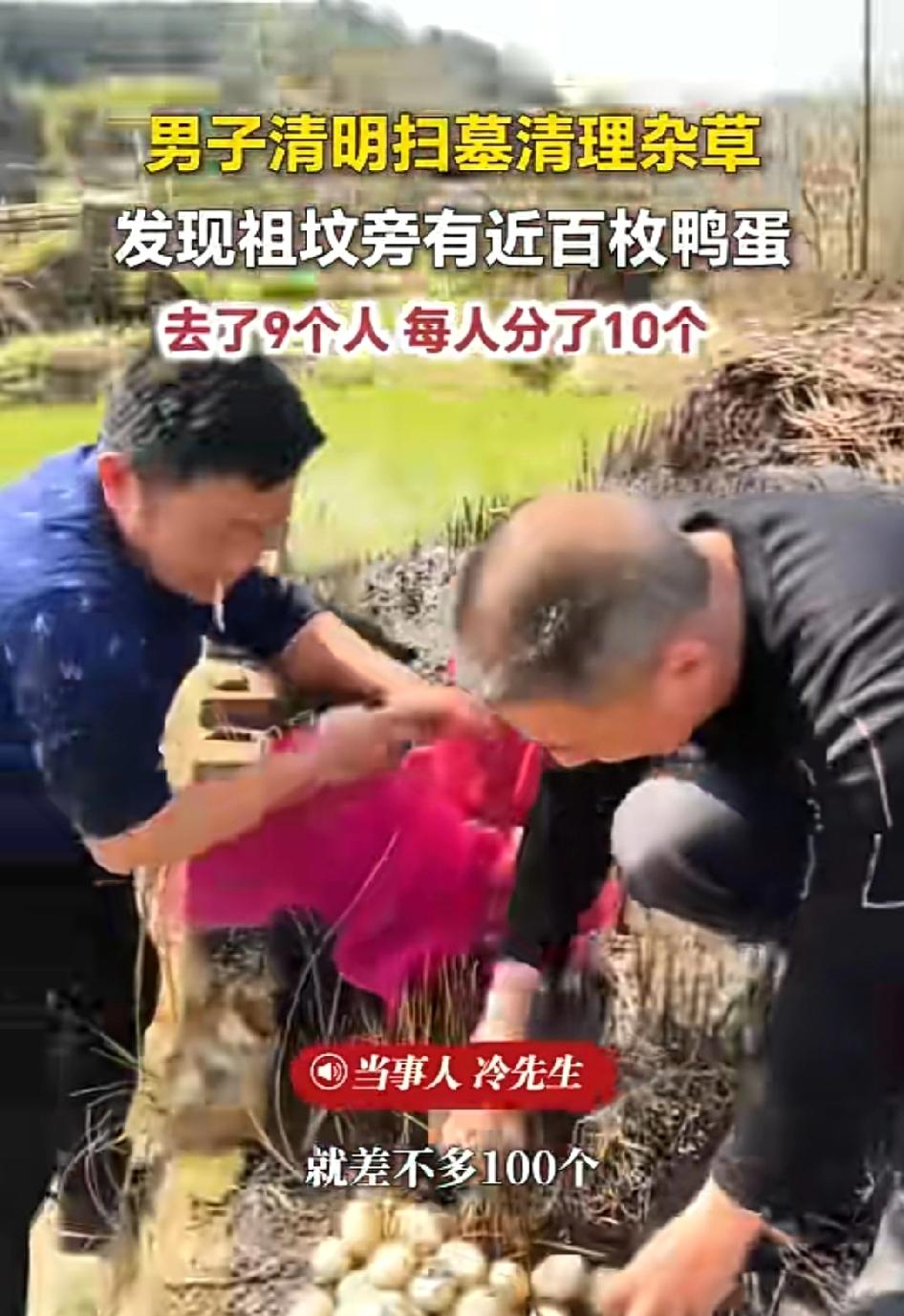 太惊喜了！江西九江一家9口清明扫墓，本来只是安安静静尽份孝心，谁能想到，刚扒开祖