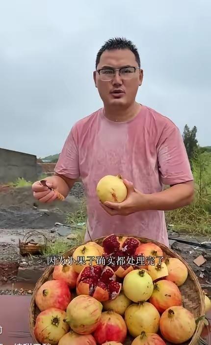 当一些网红内容已沦为MCN机构流水线生产的“剧本”，从编造家庭矛盾到假装婚变，只