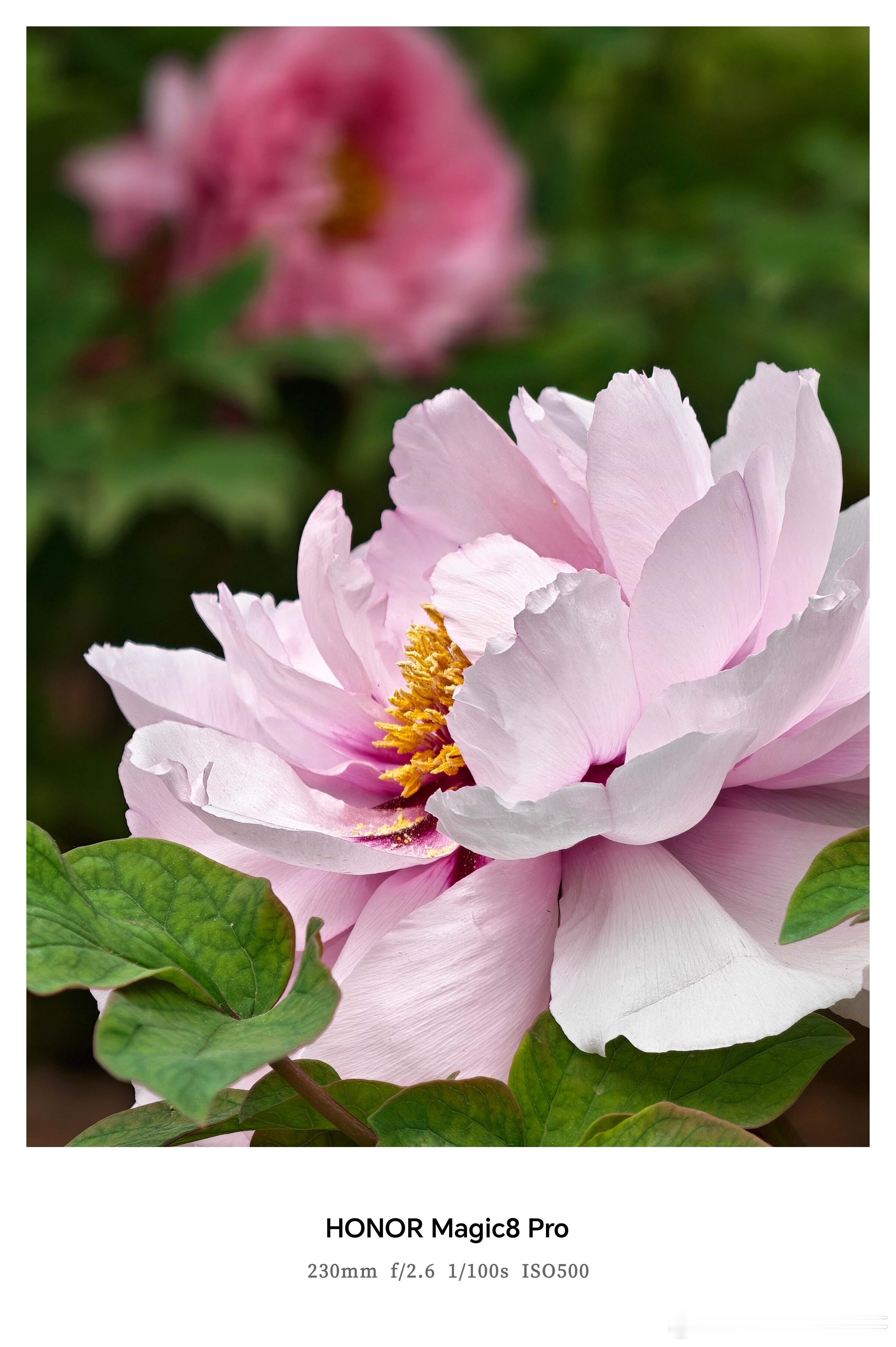 谁懂这次换手机的意义 📸换了新手机才懂，拍文旅风景根本不用修图！原色直出质感拉