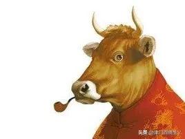 职场老黄牛任劳任怨，为何升职加薪总是擦肩而过！
干的多，拿得少，这就是“职场黄牛