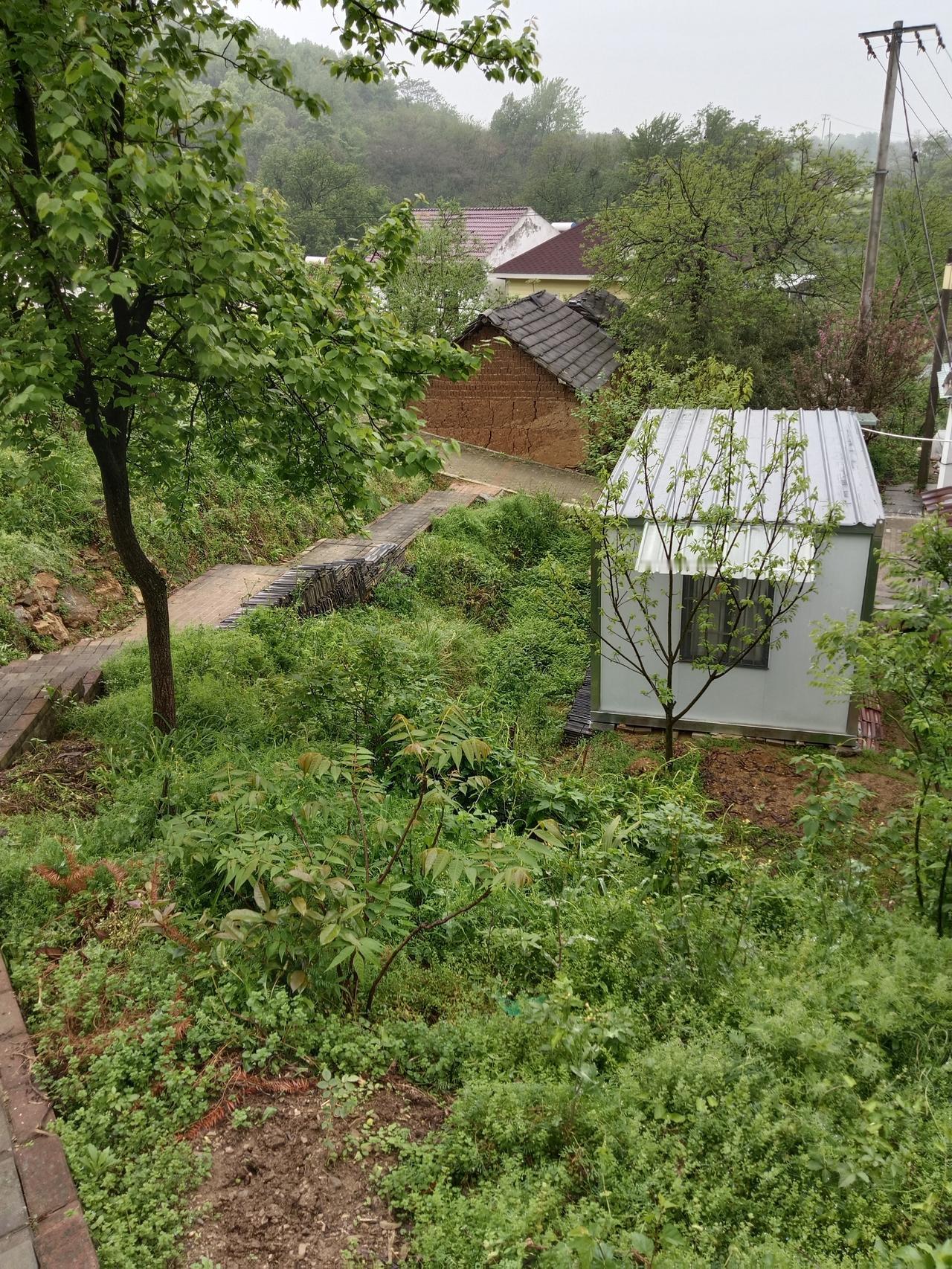 农村普通人家孩子上大学的意义在哪？
  堂哥常年在外打工，侄子基本上是散养状态，