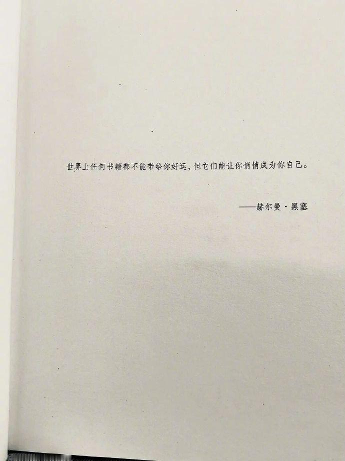 世界上任何书籍都不能带给你好运，但它们能让你悄悄成为你自己。——  黑塞 