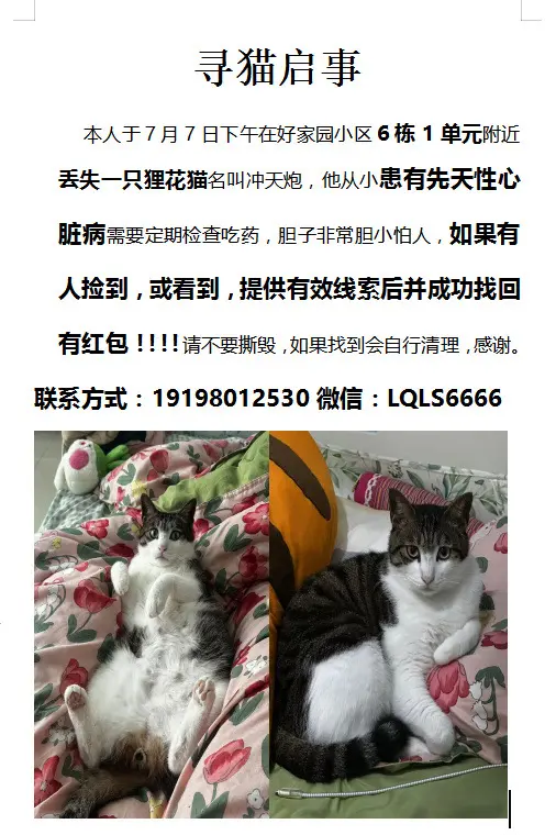 求在附近的朋友帮忙转发一下，感谢
