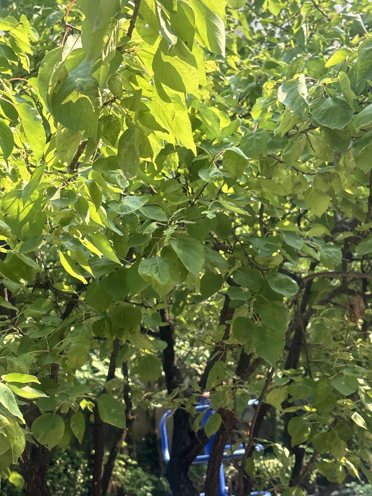 成年人顶级的自愈之道，藏在这12句话里

人这一生，命运从不是一成不变的定数，所