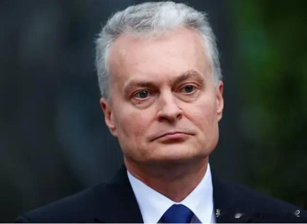 俄罗斯反对派发出如同普京的表态，其反对派人设遭到质疑



立陶宛总统瑙塞达称，