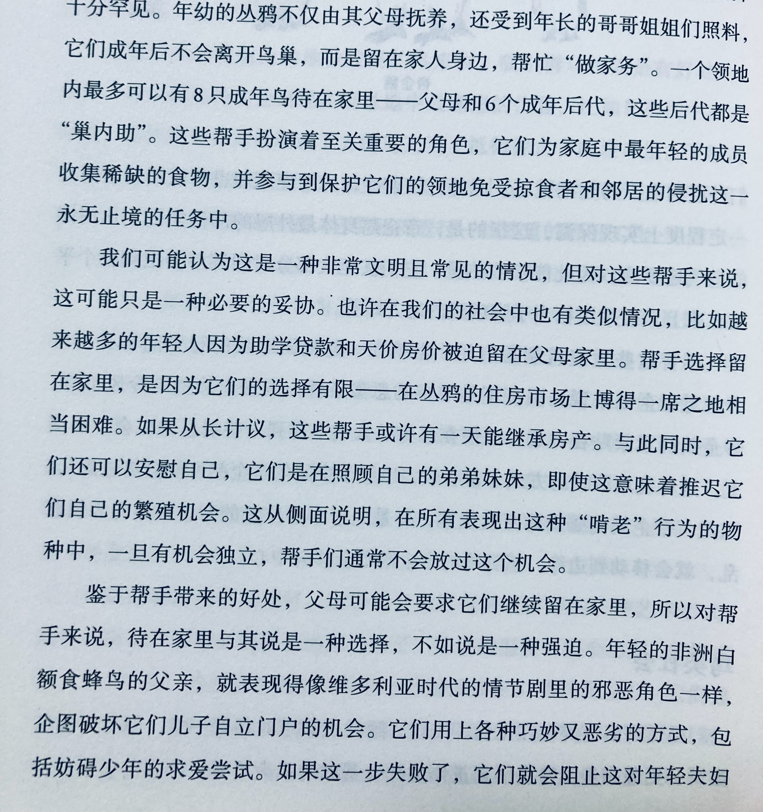 丛鸦也有勾心斗角的“大宅门”，哈哈哈哈哈哈 ​​​