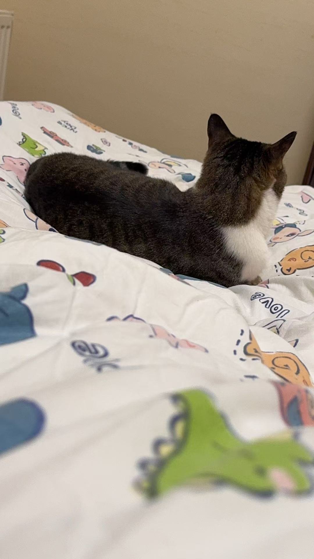 签到签到签到明天可以稍微休息一点，终于不是做牛做马了           