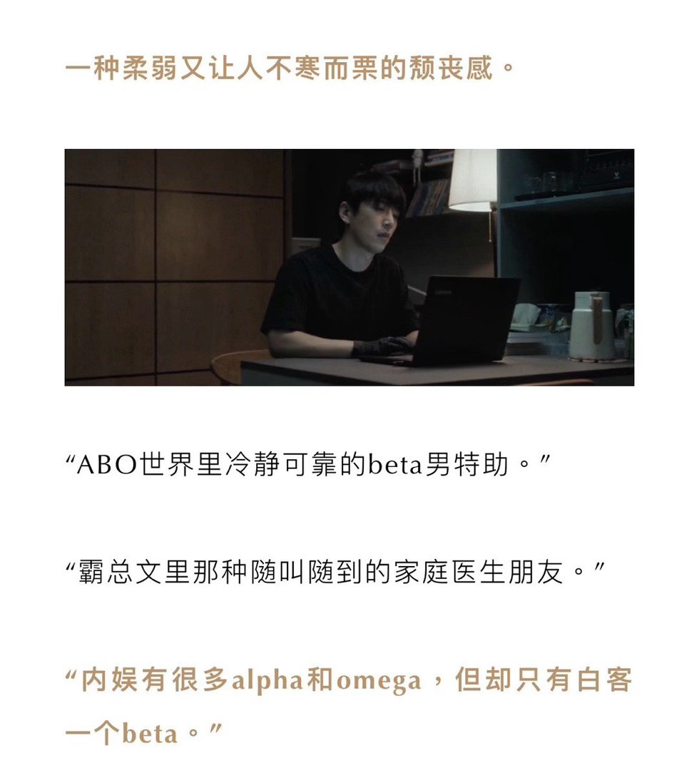 白客SBTI不会是思考者吧 白客反应绝了！放话“直接问”后被贝塔系数整懵，开启疯