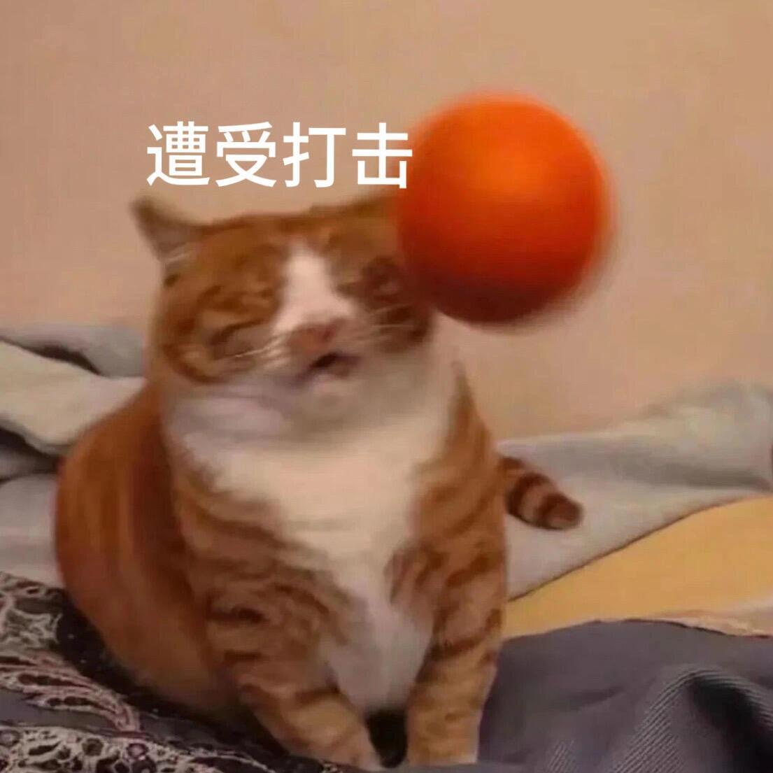 真的好喜欢这个表情包啊啊啊啊啊啊 ​​​
