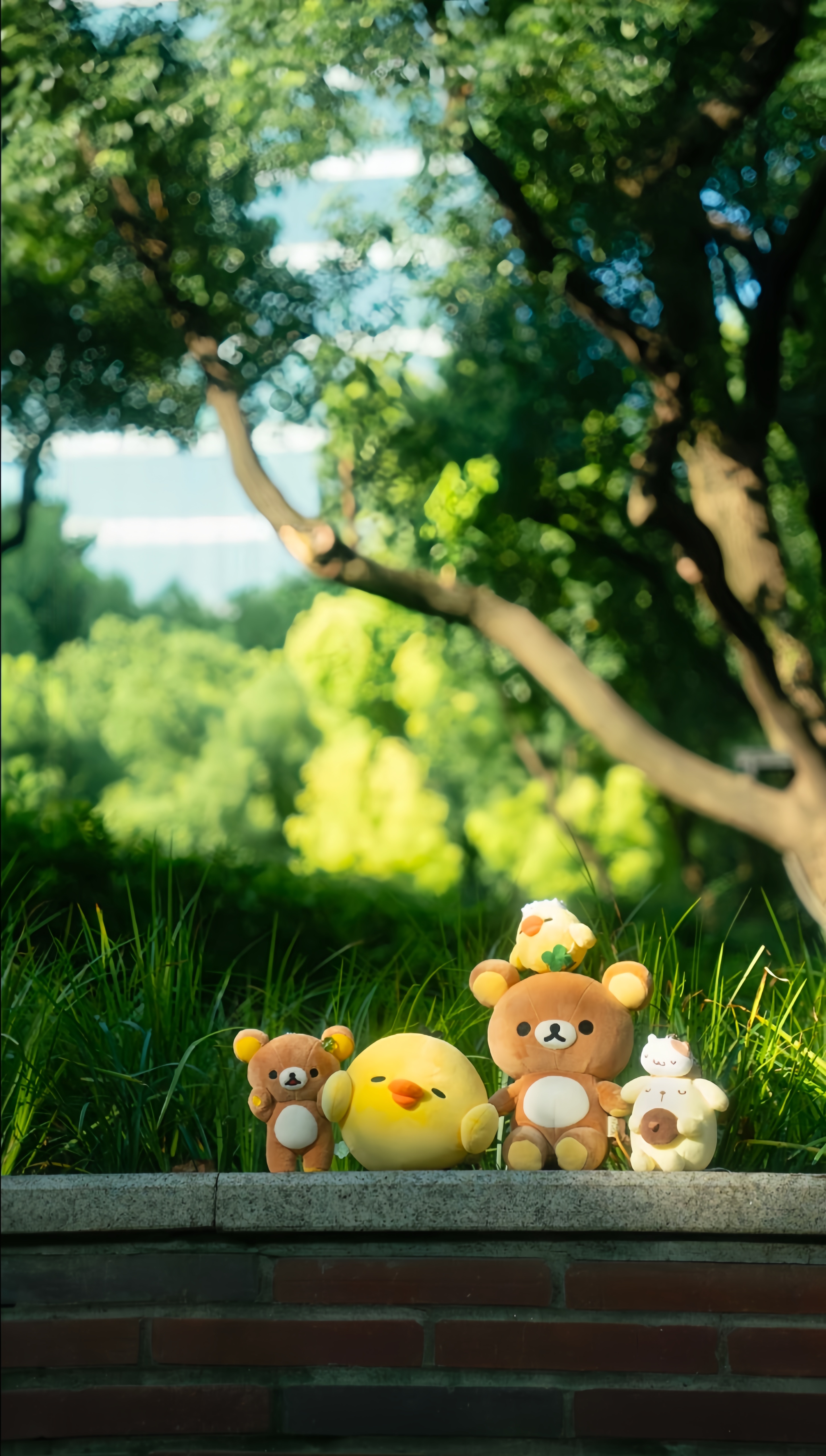 💭🎼幸福的話 忘記什麼都可以🩶💚 
