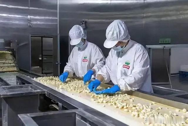 中国大蒜竟被列为国家安全威胁拿大蒜抹黑中国？这个美国议员真是让人无语了。大蒜自己