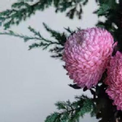 经过了时间的浸润，才明白真正的好生活是能够在任何境遇下，拥有一颗不慌乱的内心，和