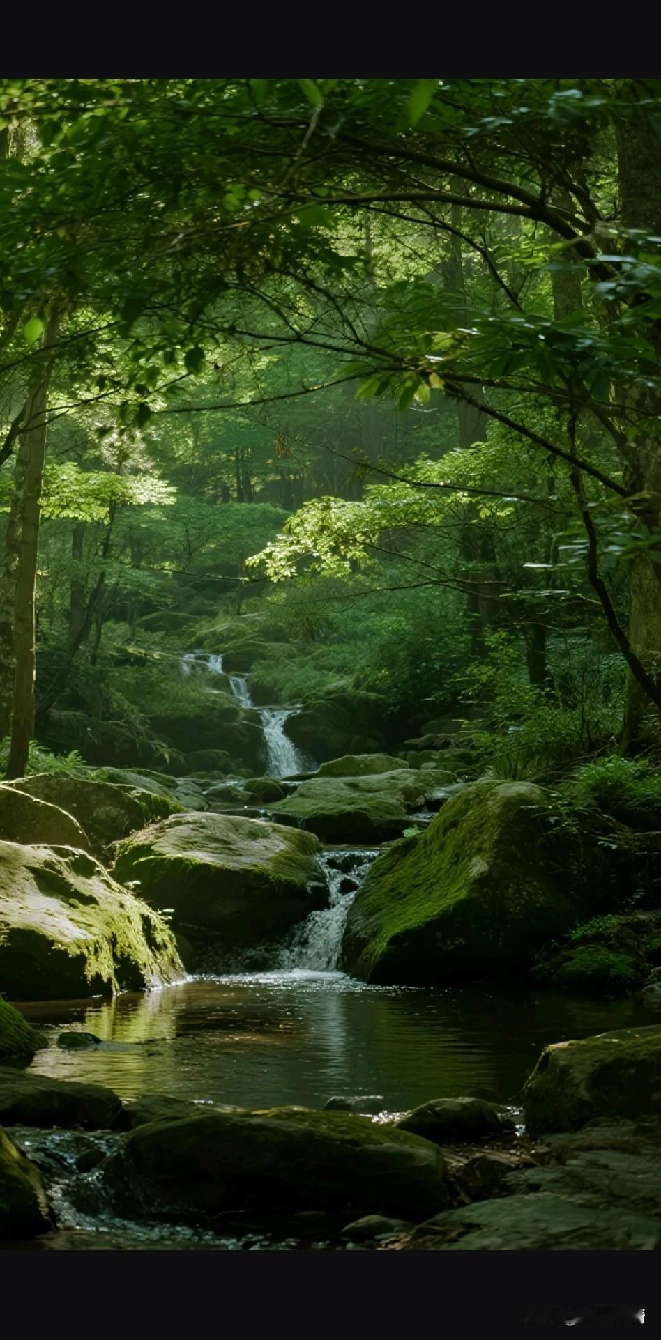 《山高水长，温良为伴；旷野行路，心安即归；南来北往，且听风吟》

旷野无轨自纵横
