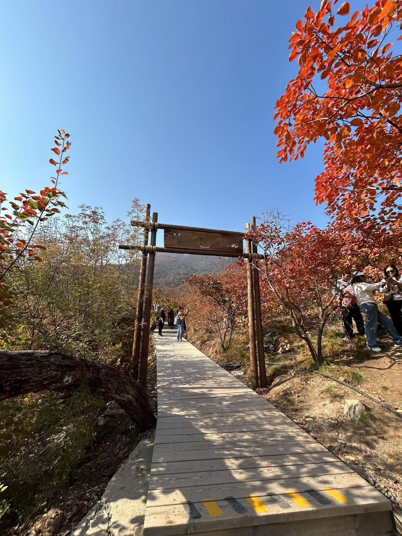 冬日生活打卡季