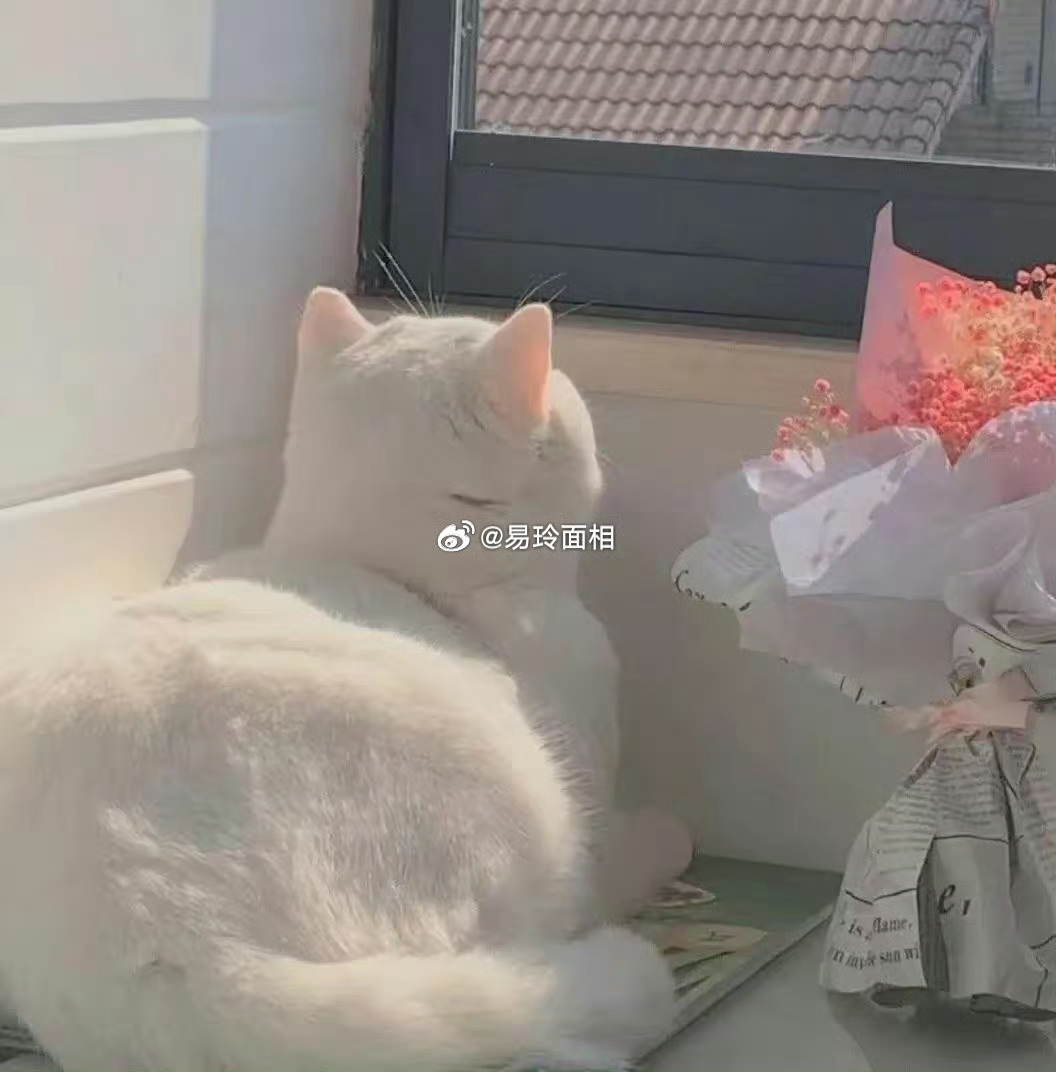 处女座是一个非常精致的星座，他们做什么事情都会寻找更完美的方法，也会有很多人会帮