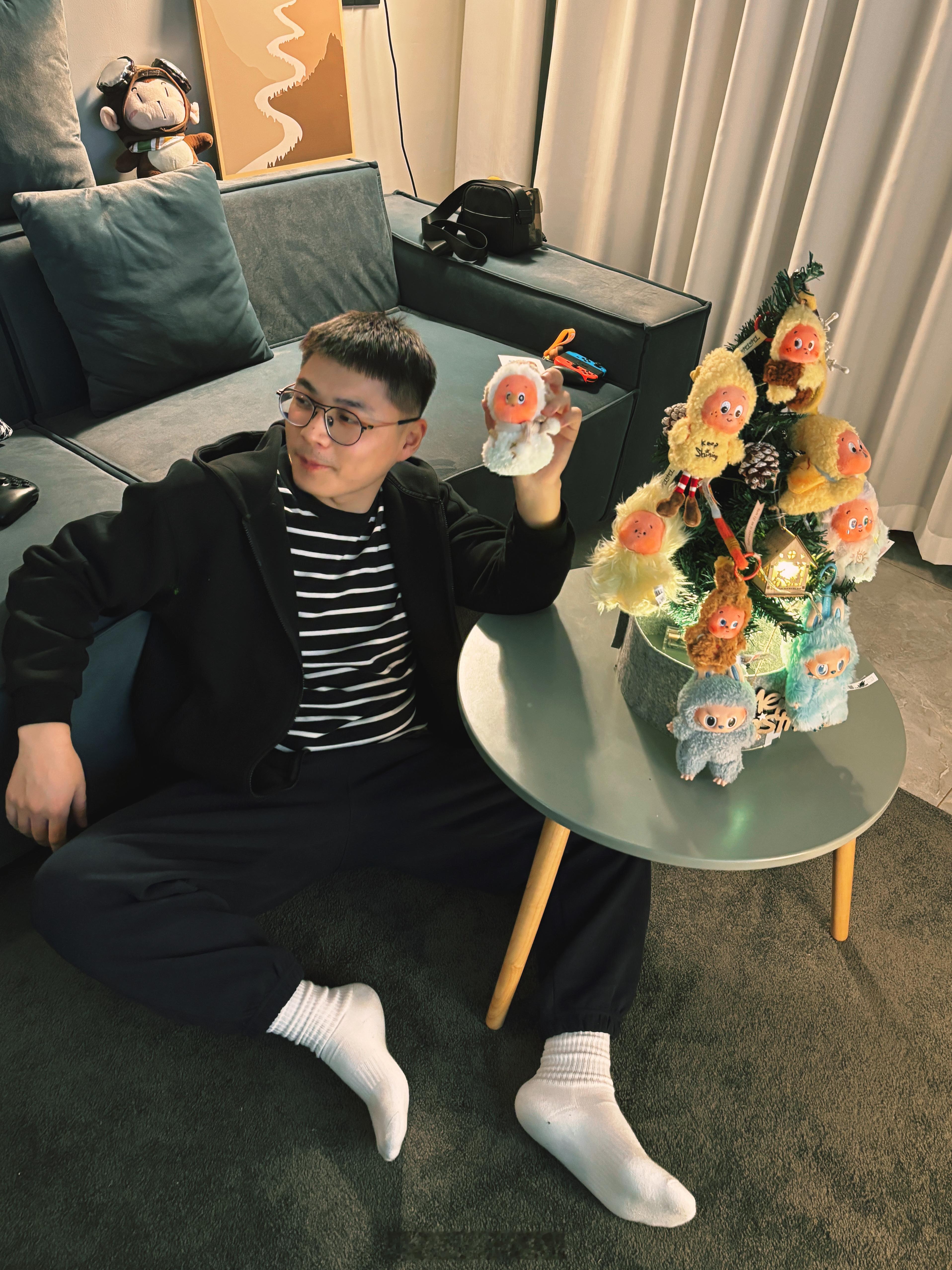 以前从来没买过圣诞树，今年为了显摆这些崽子，搞一搞想再收点有人送吗？ 