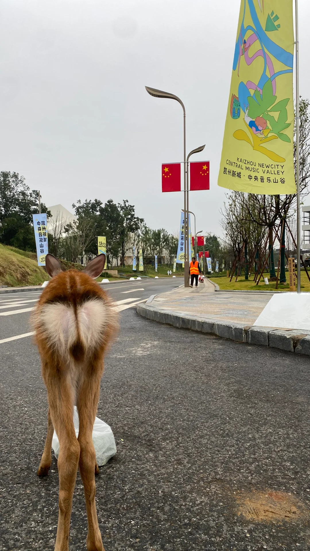 给祖国母亲比❤️