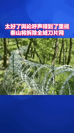 看来舆论还是起作用滴！👍
泰山将拆除全域刀片防护网