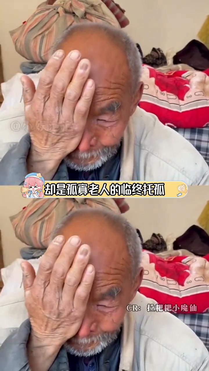 以为是冷漠弃猫，结果是老人的托孤。
娱泡泡。
可以是100，也可以是200，但它