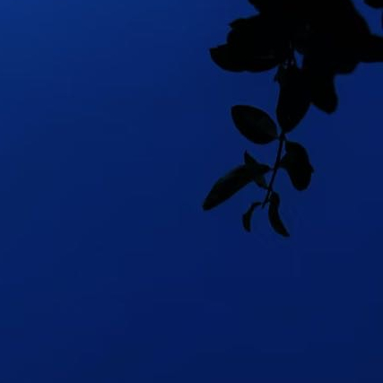 情感语录 🍃万物皆有裂痕，那是光照进来的地方。没有人的人生完美无缺，遗憾本就是
