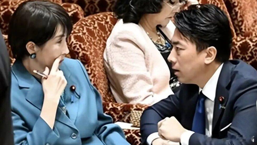 凤凰新闻【小泉进次郎单膝跪地与高市早苗交谈，企图为高市发声，遭在野党强烈嘘声】据