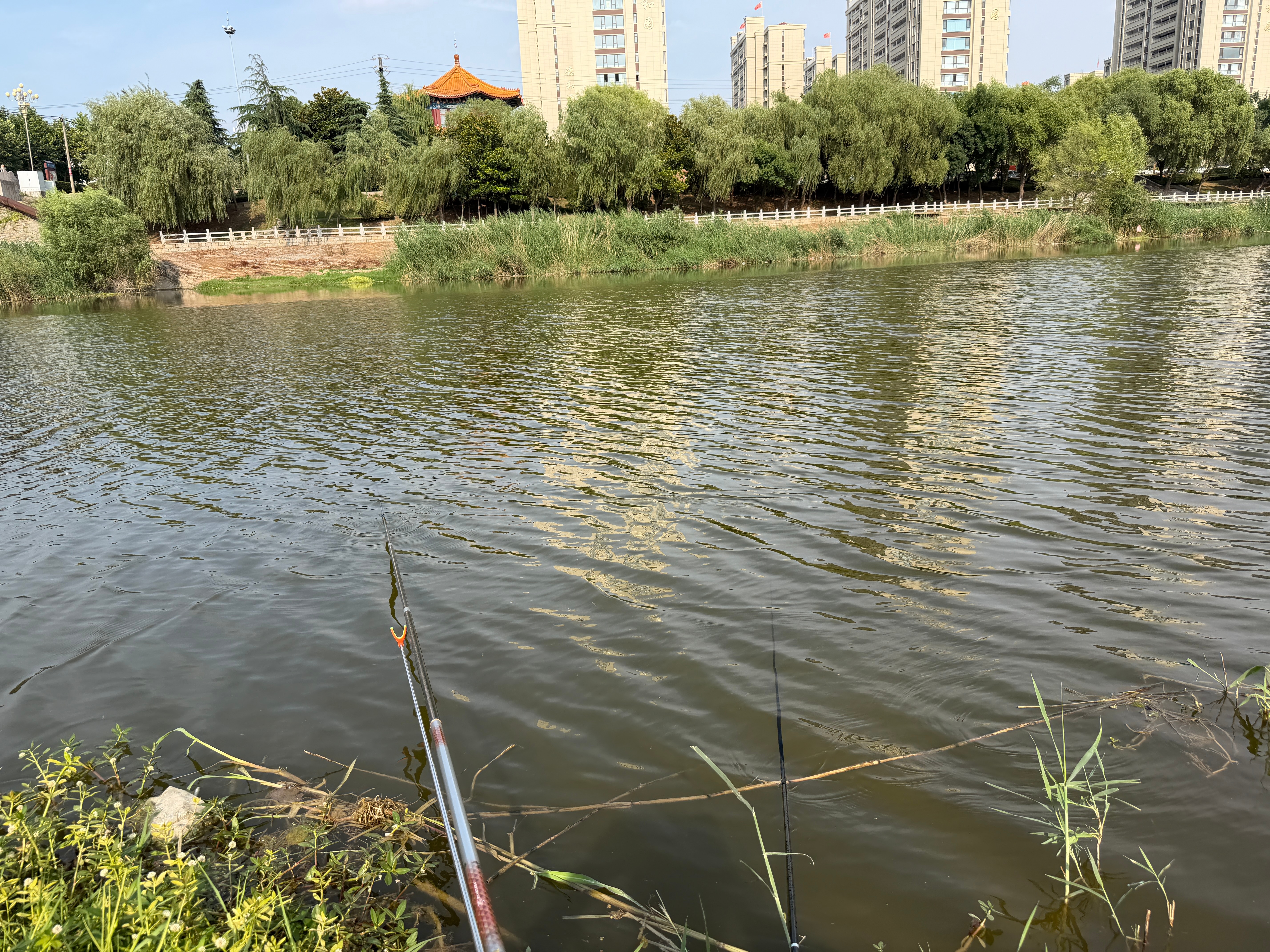 本来想一雪前耻结果毛都没有气死我了 