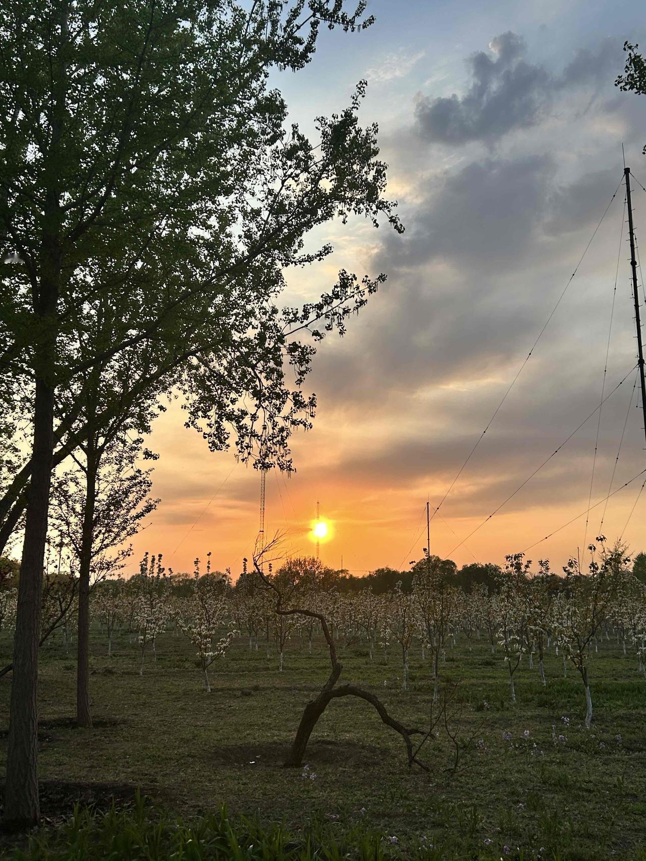 今天是头条“提现日”，我把自己辛辛苦苦码文挣得234.6元提了出来。

查看记录