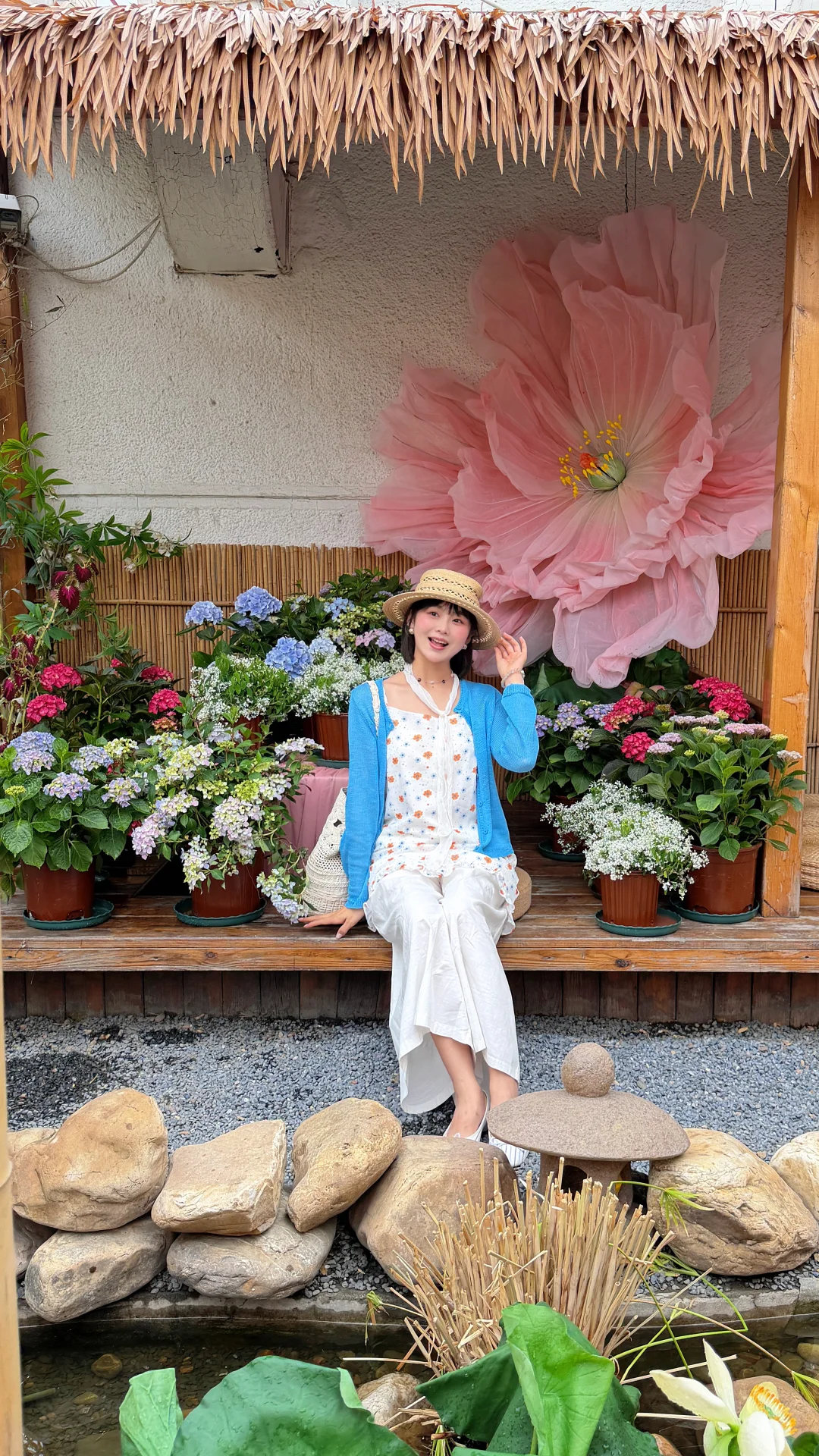 不出长春感受云南 有风小院儿的芍药花开啦